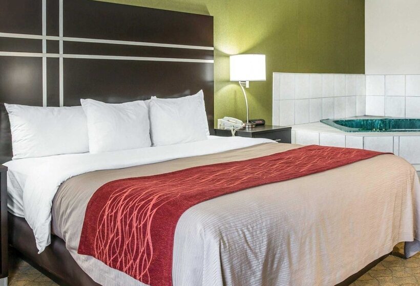 호텔 Comfort Inn & Suites Maumee   Toledo I80 90