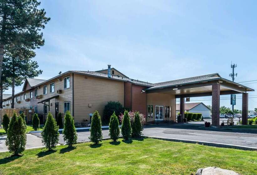 فندق Quality Inn