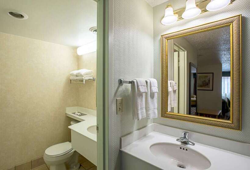 هتل Quality Inn & Suites Near I480 And I29