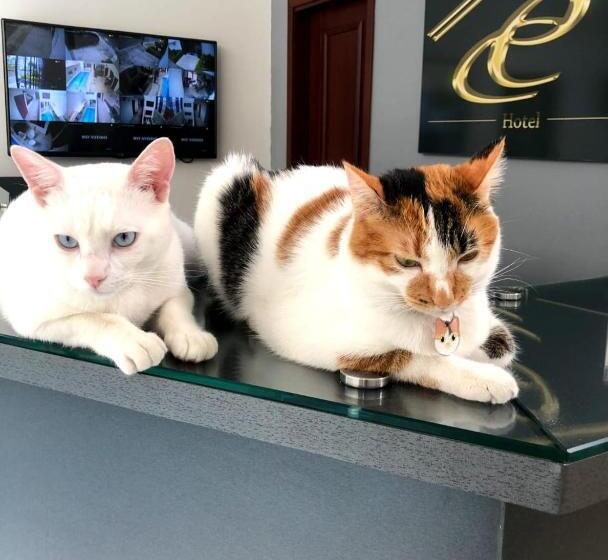 Casa Esmeralda Hotel Boutique