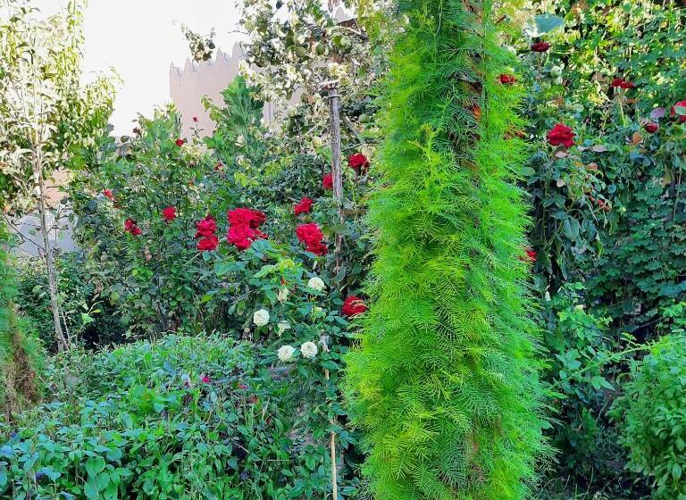 Пансион Guest House Khiva Boyjon Ota