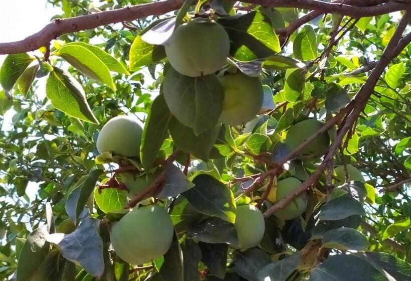 تختخواب و صبحانه Sotto L Eremo