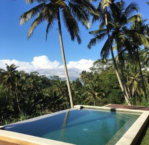 민박 The Papas Villas