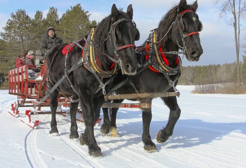 استراحتگاه The Highlands At Harbor Springs