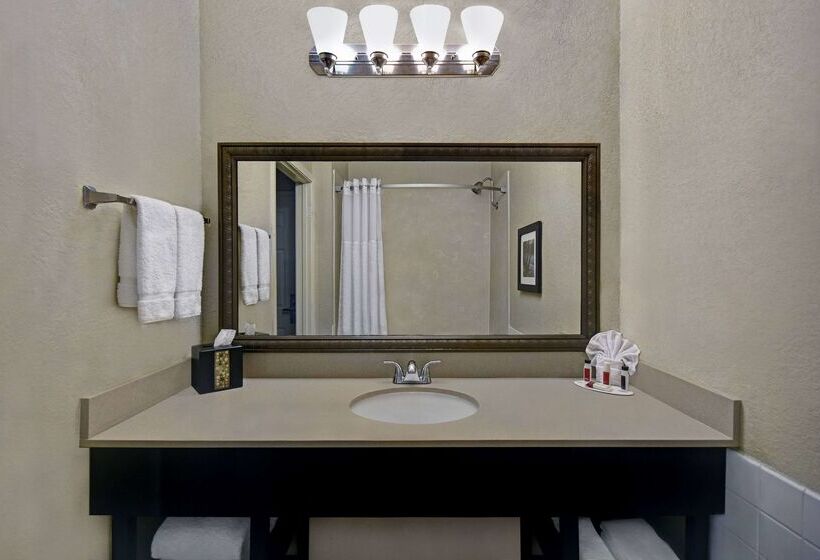 هتل Baymont By Wyndham Houston/westchase