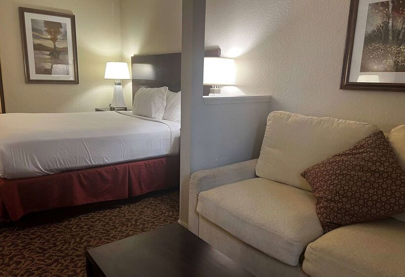 هتل Baymont By Wyndham Houston/westchase