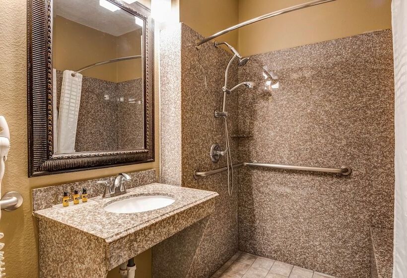 هتل Best Western Plus Heritage Inn Houston