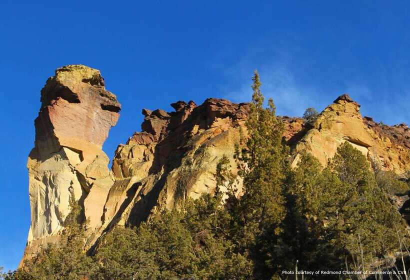 فندق Best Western Plus Rama Inn