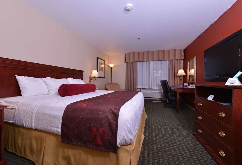 فندق Best Western Plus Rama Inn