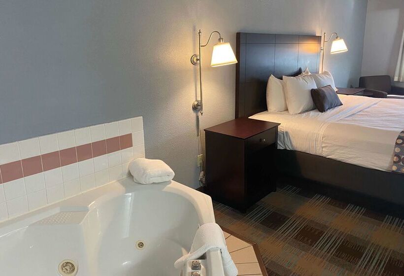 ホテル Baymont By Wyndham Danville Il