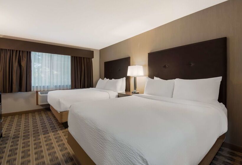 فندق Best Western University Inn And Suites