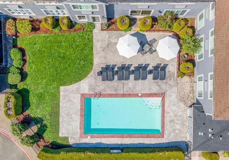 فندق Best Western Wesley Inn & Suites