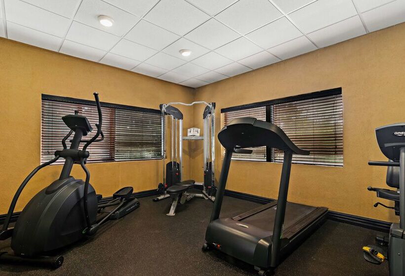 هتل Best Western Windsor Suites