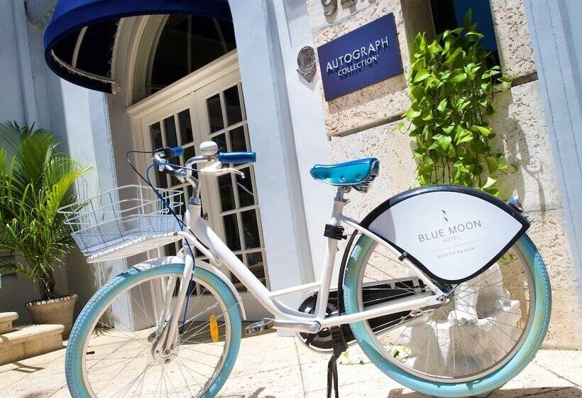 בית מלון כפרי Blue Moon