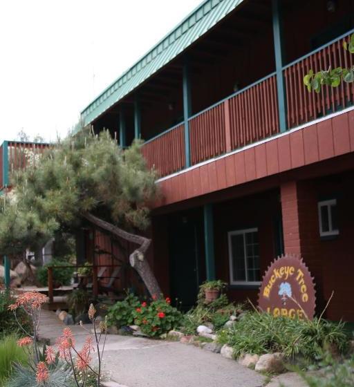 هتل Buckeye Tree Lodge