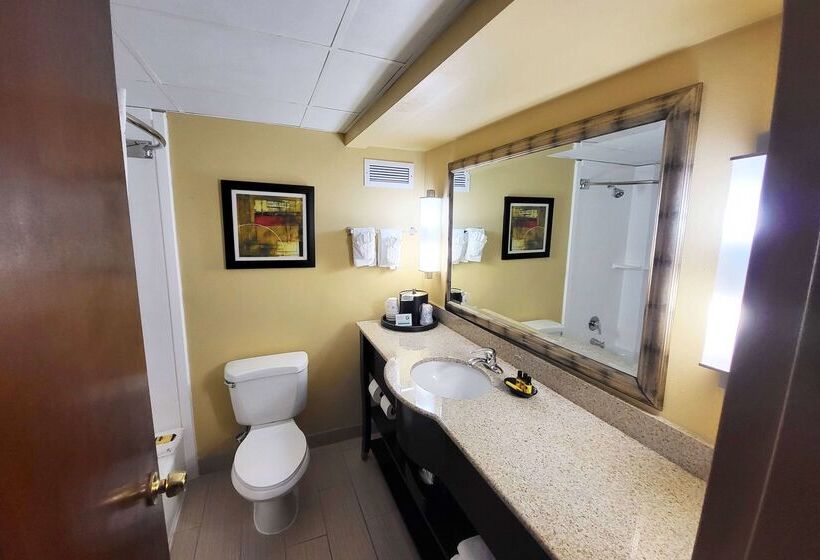 هتل Wingate By Wyndham Greensboro Coliseum