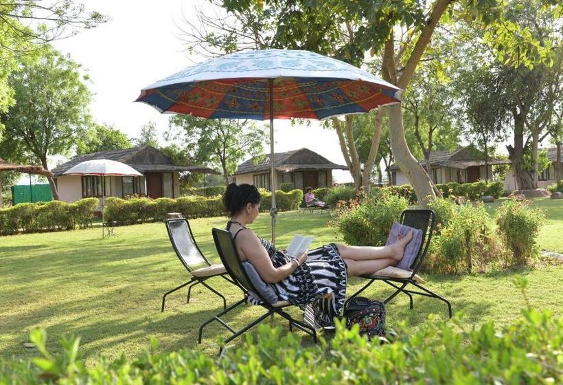 منتجع Dera Village  The Clement Retreats