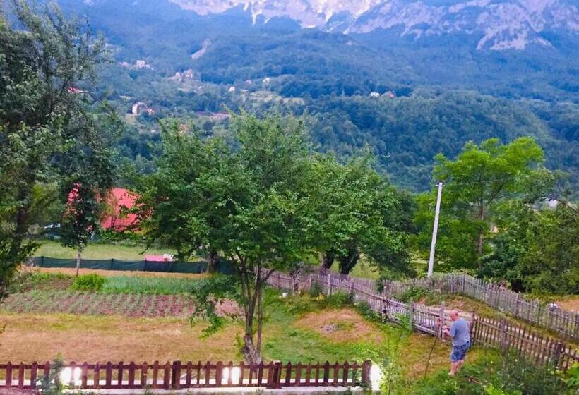 پانسیون Guest House Rrashkadoli