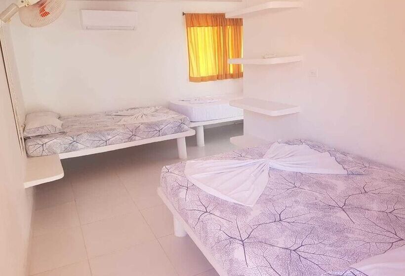 هتل Playa Tiburon