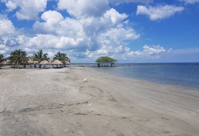 هتل Playa Tiburon