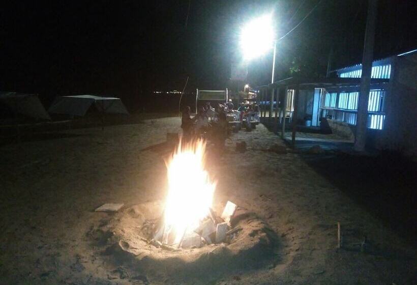 هتل Playa Tiburon