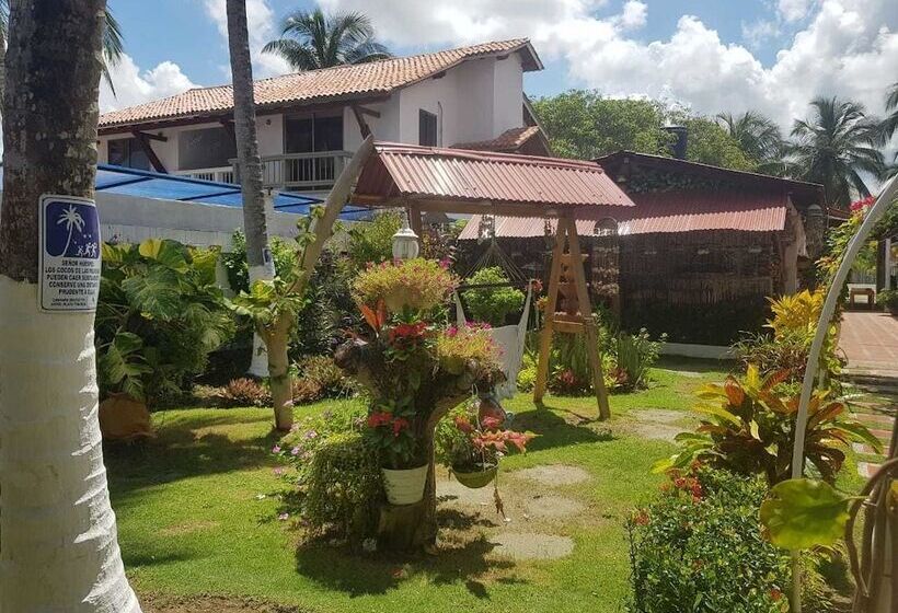 هتل Playa Tiburon