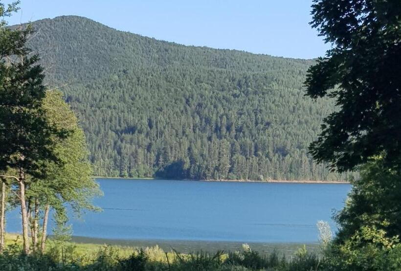 Lorica Suite Lago