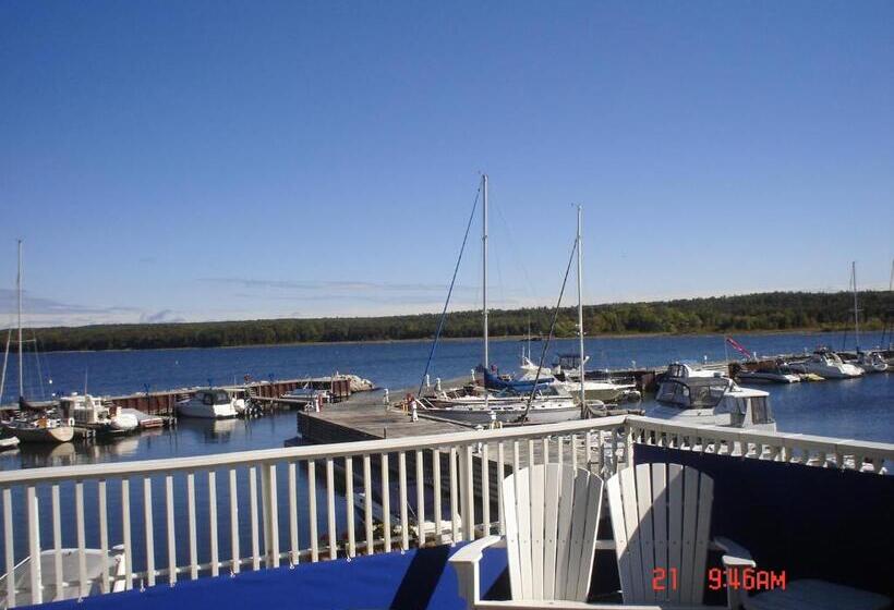 فندق صغير Harbor Guest House