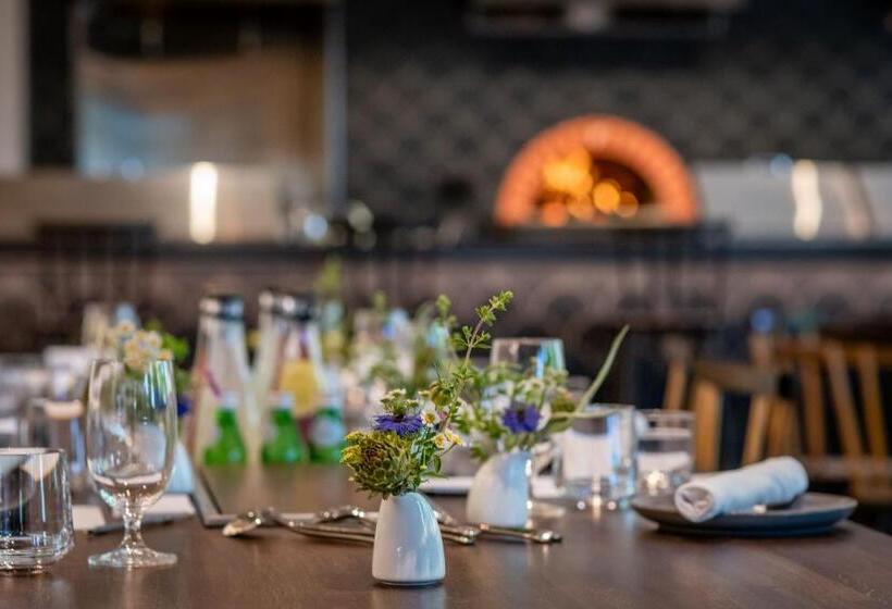 호텔 Calistoga Motor Lodge And Spa, A Jdv By Hyatt