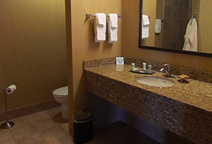 هتل Canal Park Lodge