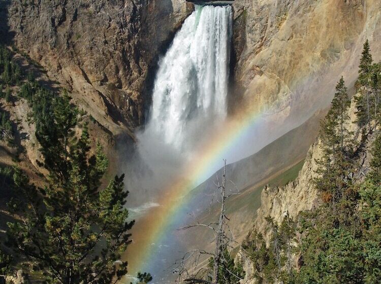 Hotel Canyon Lodge & Cabins Inside The Park