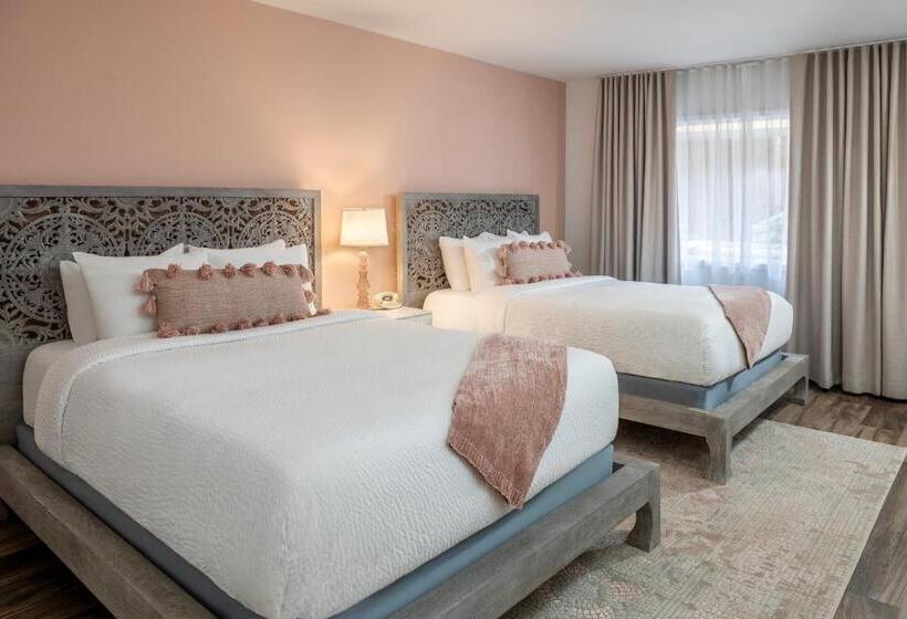 هتل Cardiff By The Sea Lodge