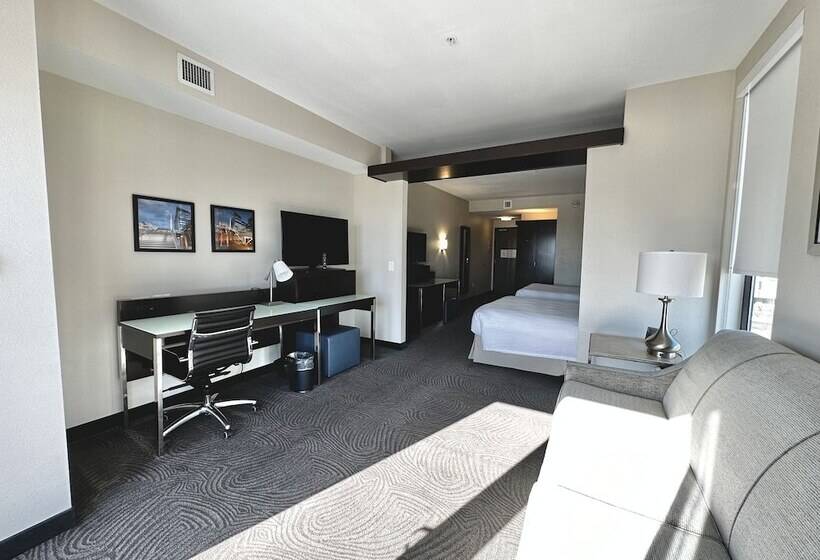 هتل Fairfield Inn & Suites By Marriott Denver Downtown