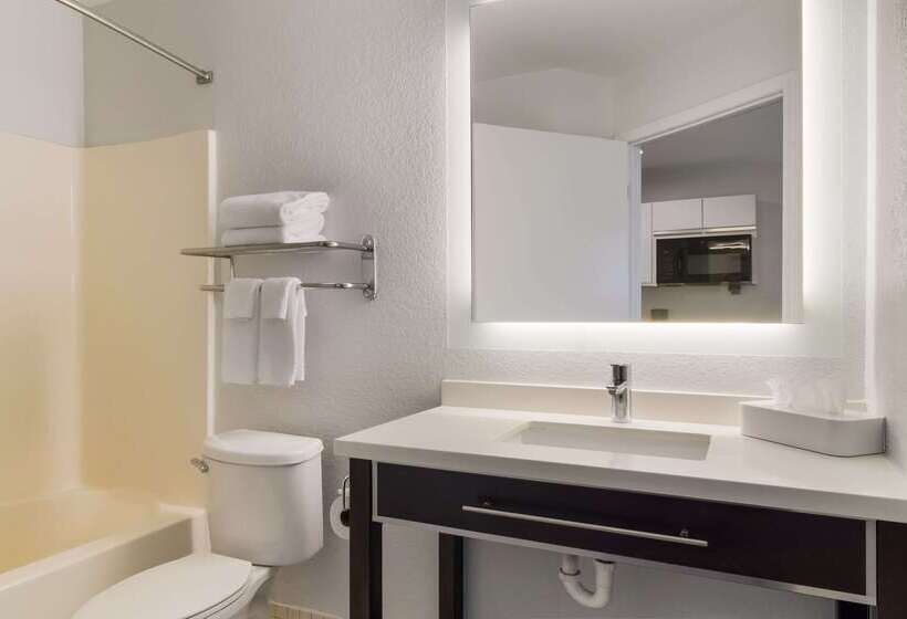 Отель Mainstay Suites Denver Tech Center