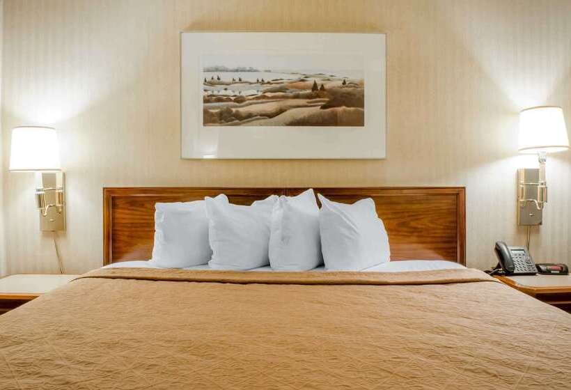 ホテル Quality Inn & Suites