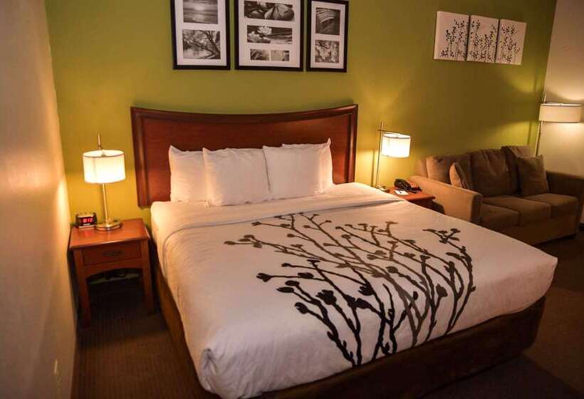 فندق Sleep Inn & Suites