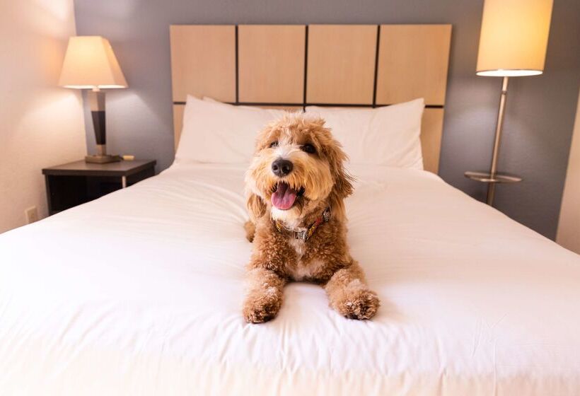 هتل Sonesta Simply Suites Detroit Warren