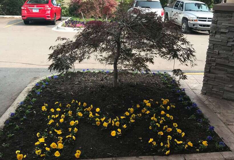 هتل Wyndham Garden Ann Arbor