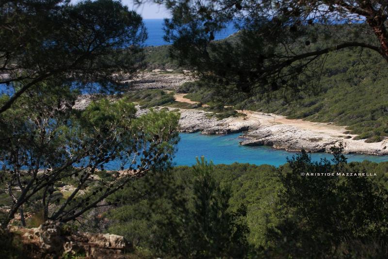 Bed and Breakfast Dimora Villa Serena Porto Selvaggio