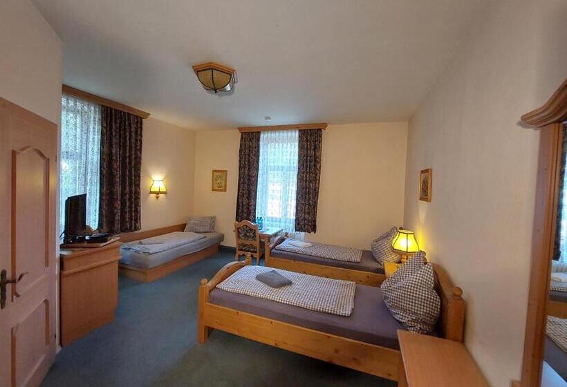 3 Raben   Leoben   Zimmer Für Geschäftsreisende, Urlauber, Monteure Und Handwerker, Polski Pensjonat