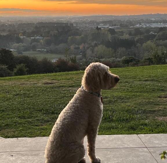 تختخواب و صبحانه Quail Lodge