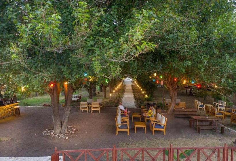 استراحتگاه Eden Bungalows And Beach