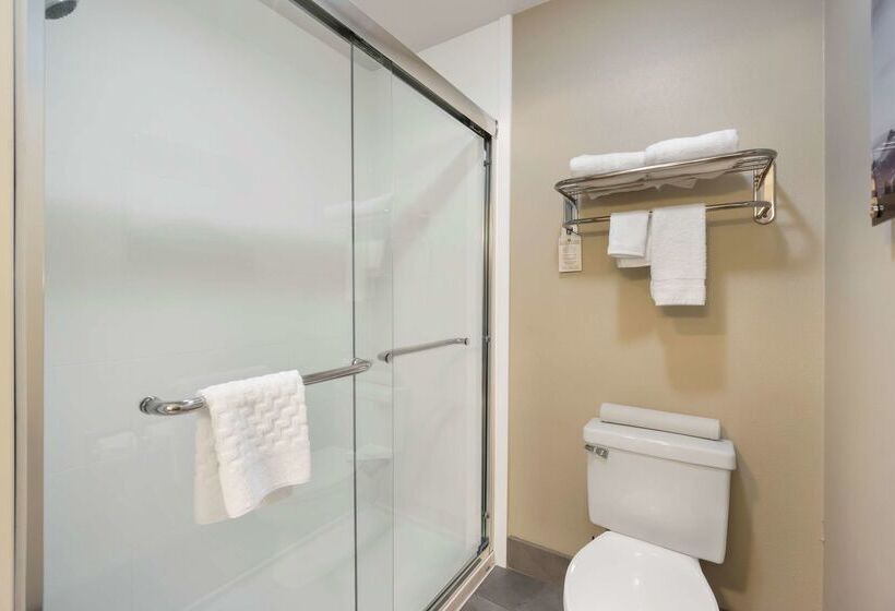 Отель Best Western Plus Wenatchee Downtown