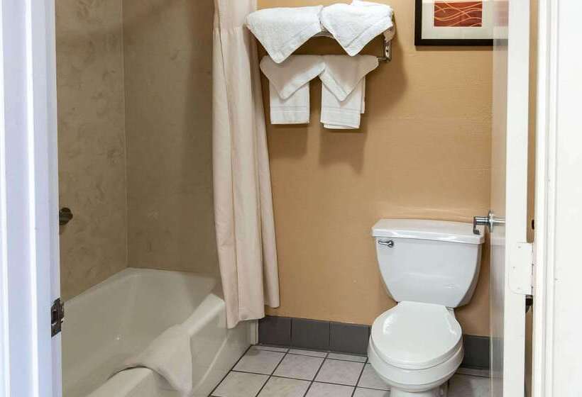 فندق Comfort Inn North Conroe