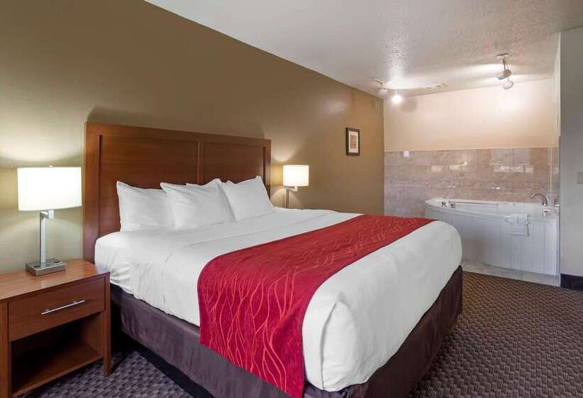 בית מלון כפרי Comfort Inn Hobart Merrillville I 65
