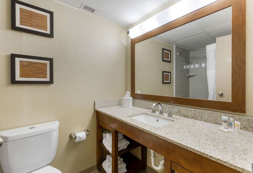 هتل Comfort Inn St. Louis  Westport Event Center