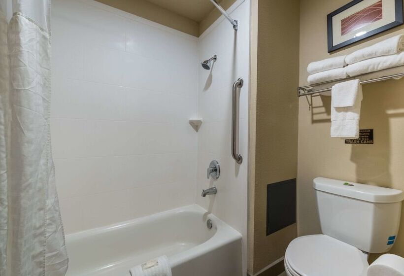 فندق Comfort Inn & Suites Alamosa