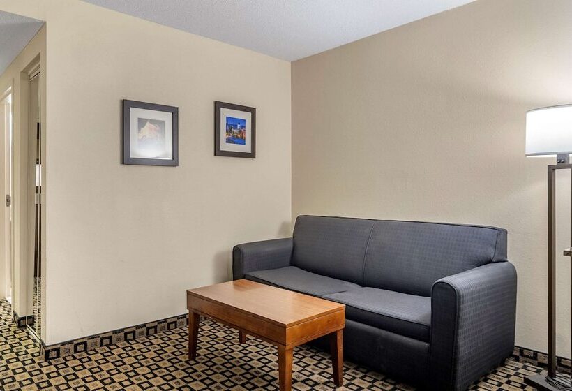هتل Comfort Inn & Suites