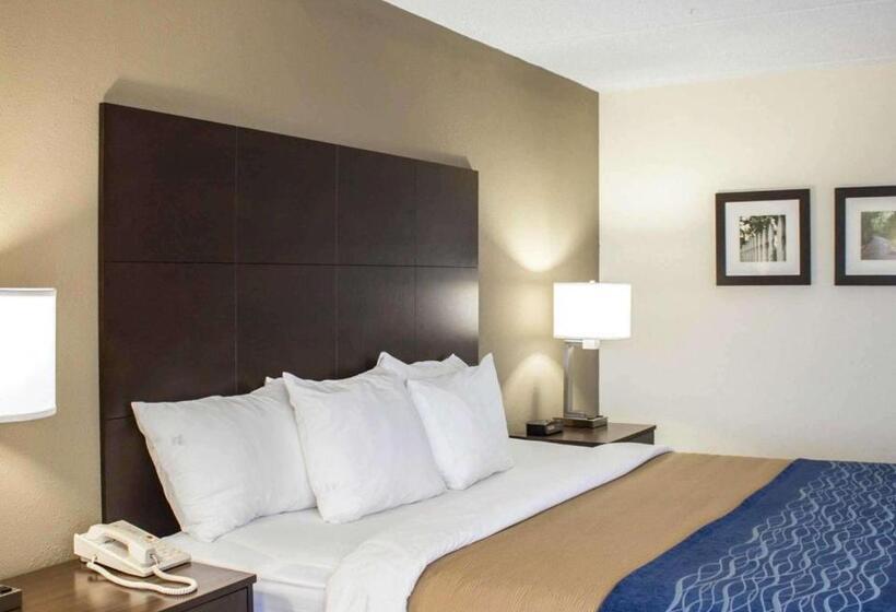 ホテル Comfort Inn & Suites Fuquay Varina