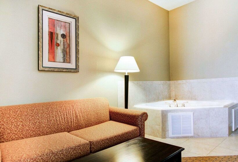 酒店 Comfort Suites Fort Stockton